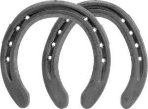 St Croix Eventer Plus Shoes - Clipped